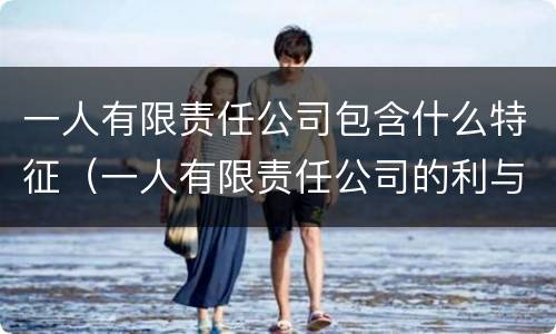 一人有限责任公司包含什么特征（一人有限责任公司的利与弊）