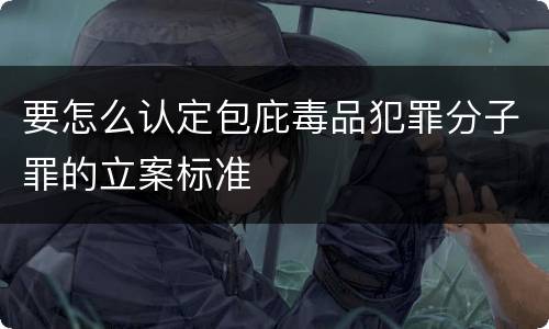 要怎么认定包庇毒品犯罪分子罪的立案标准