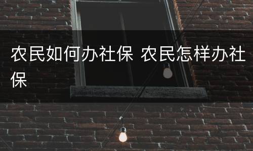 农民如何办社保 农民怎样办社保