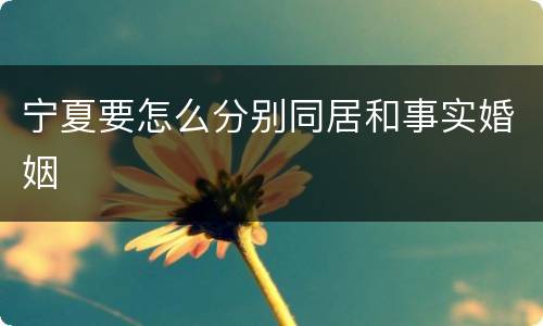 宁夏要怎么分别同居和事实婚姻