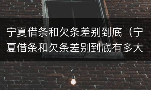 宁夏借条和欠条差别到底（宁夏借条和欠条差别到底有多大）