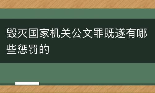 毁灭国家机关公文罪既遂有哪些惩罚的