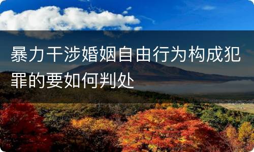 暴力干涉婚姻自由行为构成犯罪的要如何判处