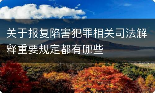 关于报复陷害犯罪相关司法解释重要规定都有哪些