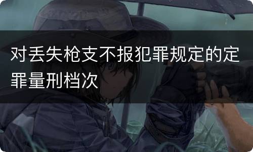 对丢失枪支不报犯罪规定的定罪量刑档次