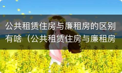 公共租赁住房与廉租房的区别有啥（公共租赁住房与廉租房的区别有啥不一样）