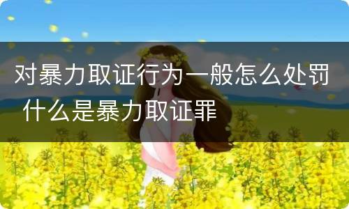 对暴力取证行为一般怎么处罚 什么是暴力取证罪