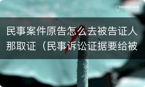 民事案件原告怎么去被告证人那取证（民事诉讼证据要给被告吗）