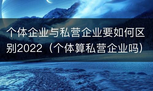个体企业与私营企业要如何区别2022（个体算私营企业吗）