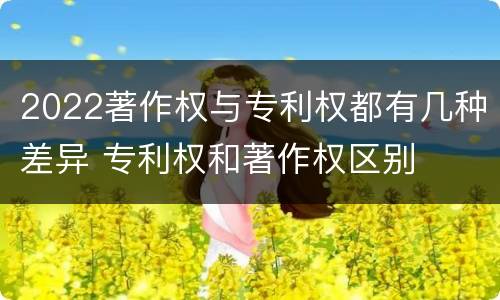 2022著作权与专利权都有几种差异 专利权和著作权区别