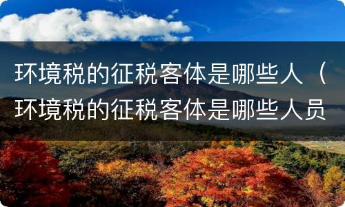 环境税的征税客体是哪些人（环境税的征税客体是哪些人员）