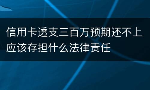 信用卡透支三百万预期还不上应该存担什么法律责任