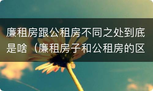 廉租房跟公租房不同之处到底是啥（廉租房子和公租房的区别）