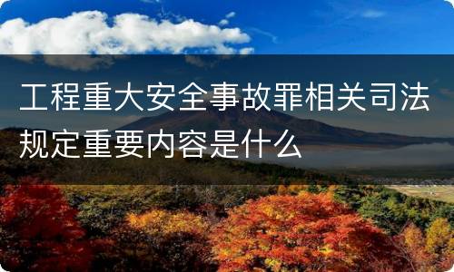工程重大安全事故罪相关司法规定重要内容是什么
