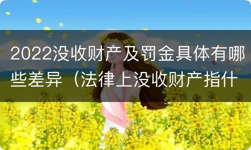 2022没收财产及罚金具体有哪些差异（法律上没收财产指什么）