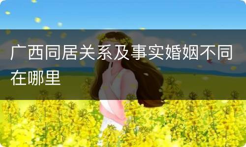 广西同居关系及事实婚姻不同在哪里