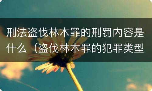 刑法盗伐林木罪的刑罚内容是什么（盗伐林木罪的犯罪类型）