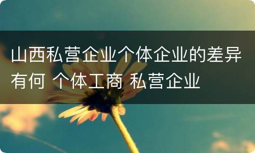 山西私营企业个体企业的差异有何 个体工商 私营企业