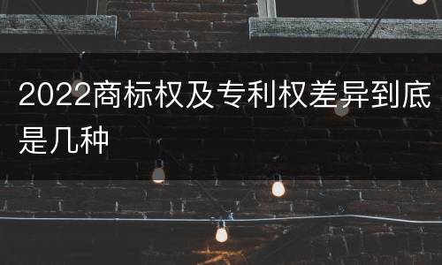 2022商标权及专利权差异到底是几种