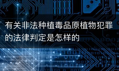 有关非法种植毒品原植物犯罪的法律判定是怎样的