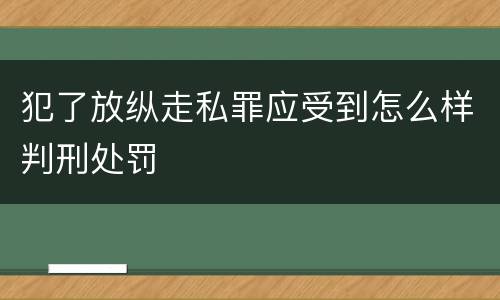 犯了放纵走私罪应受到怎么样判刑处罚