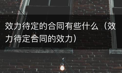 效力待定的合同有些什么（效力待定合同的效力）