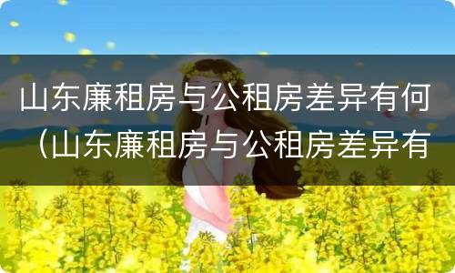 山东廉租房与公租房差异有何（山东廉租房与公租房差异有何规定）
