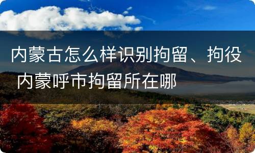 内蒙古怎么样识别拘留、拘役 内蒙呼市拘留所在哪