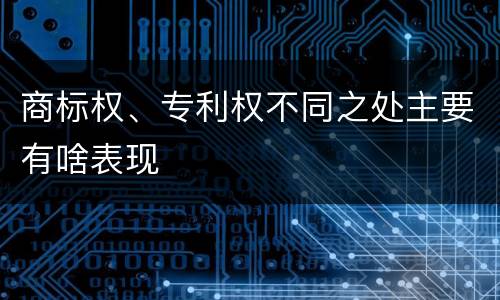 商标权、专利权不同之处主要有啥表现