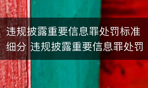 违规披露重要信息罪处罚标准细分 违规披露重要信息罪处罚标准细分依据