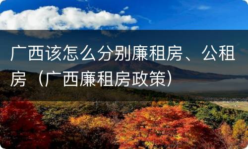 广西该怎么分别廉租房、公租房（广西廉租房政策）