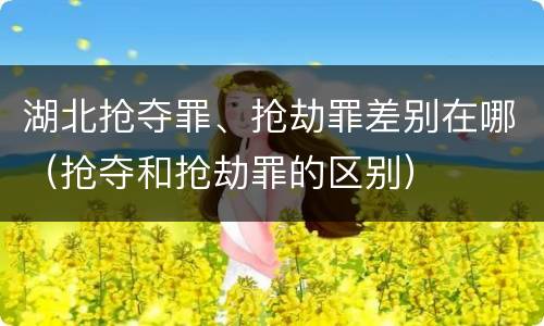 湖北抢夺罪、抢劫罪差别在哪（抢夺和抢劫罪的区别）