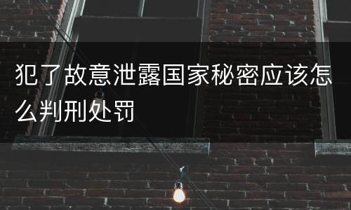 犯了故意泄露国家秘密应该怎么判刑处罚