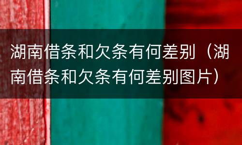 湖南借条和欠条有何差别（湖南借条和欠条有何差别图片）