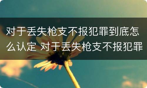 对于丢失枪支不报犯罪到底怎么认定 对于丢失枪支不报犯罪到底怎么认定呢