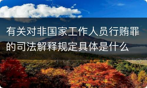 有关对非国家工作人员行贿罪的司法解释规定具体是什么