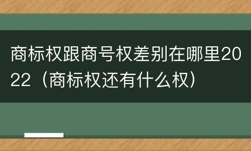 商标权跟商号权差别在哪里2022（商标权还有什么权）