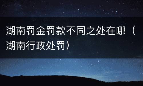 湖南罚金罚款不同之处在哪（湖南行政处罚）