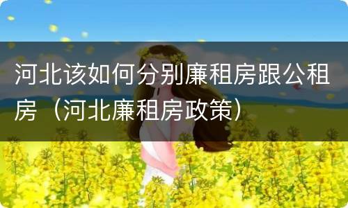 河北该如何分别廉租房跟公租房（河北廉租房政策）