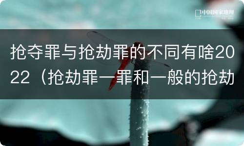 抢夺罪与抢劫罪的不同有啥2022（抢劫罪一罪和一般的抢劫罪）