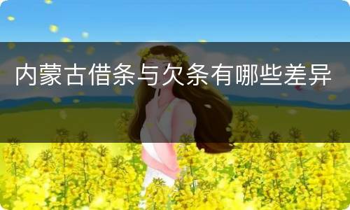 内蒙古借条与欠条有哪些差异