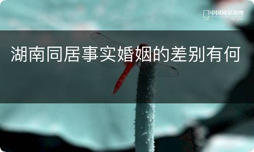 湖南同居事实婚姻的差别有何