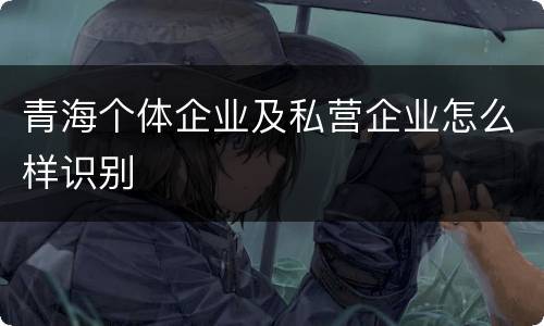 青海个体企业及私营企业怎么样识别