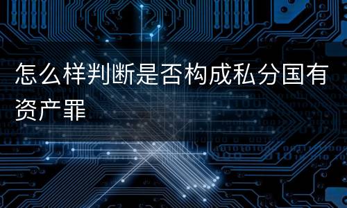 怎么样判断是否构成私分国有资产罪