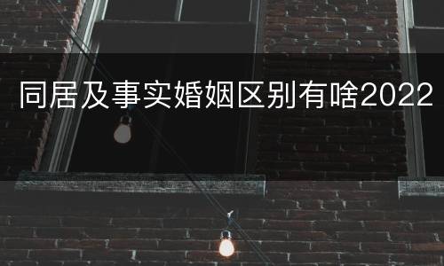 同居及事实婚姻区别有啥2022