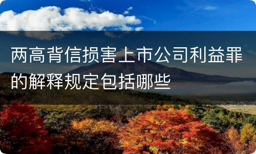 两高背信损害上市公司利益罪的解释规定包括哪些