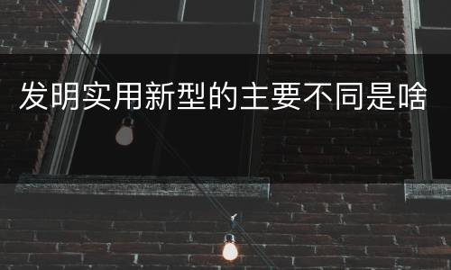 发明实用新型的主要不同是啥