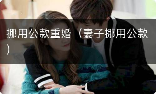 挪用公款重婚（妻子挪用公款）