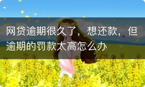 网贷逾期很久了，想还款，但逾期的罚款太高怎么办