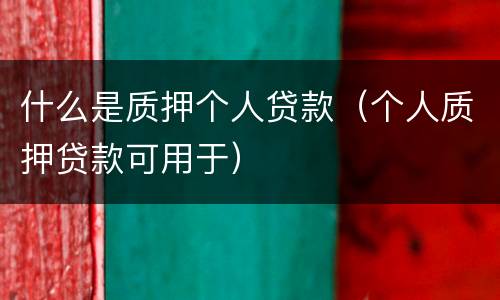 什么是质押个人贷款（个人质押贷款可用于）